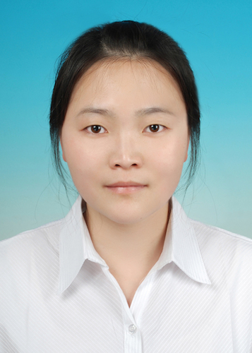 Dr.Li Qi