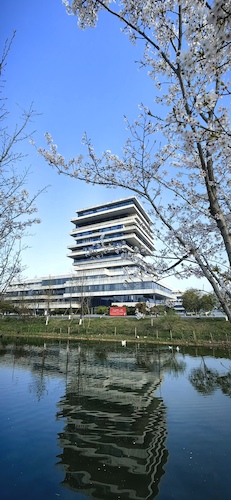 IMG_20230328_073443_edit_29157579463563