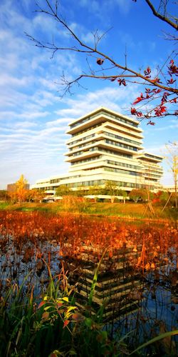 35c78ba38db4de80de06b6a7e958dc0f